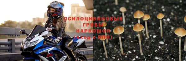 прущая мука Абаза