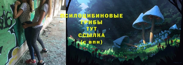 прущая мука Абаза