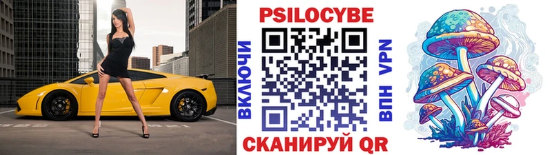 купить   мега ТОР  Галлюциногенные грибы Psilocybine cubensis  Хадыженск 